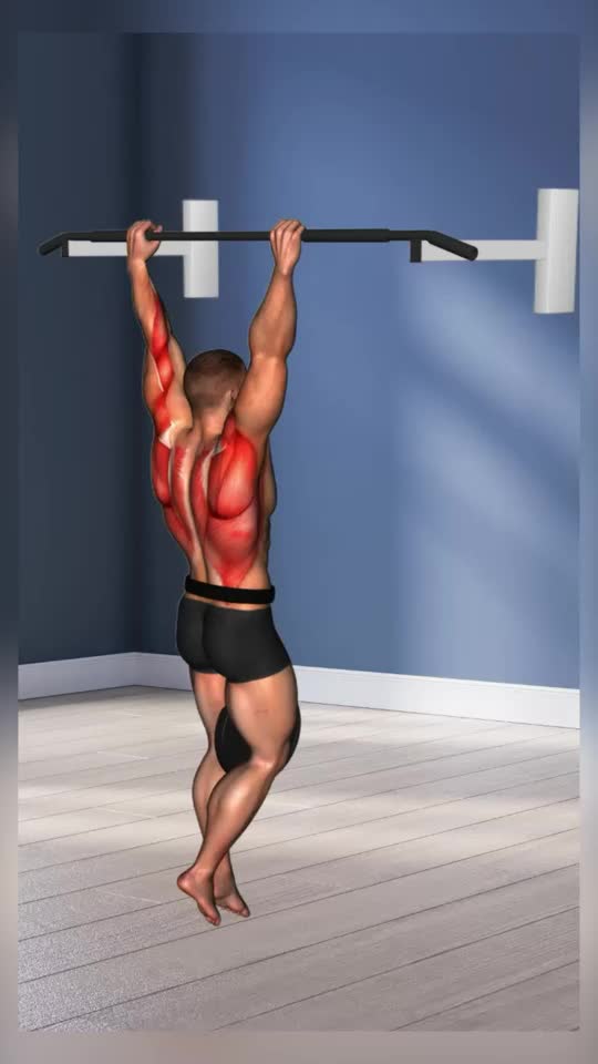 Best Back Workout Exercises