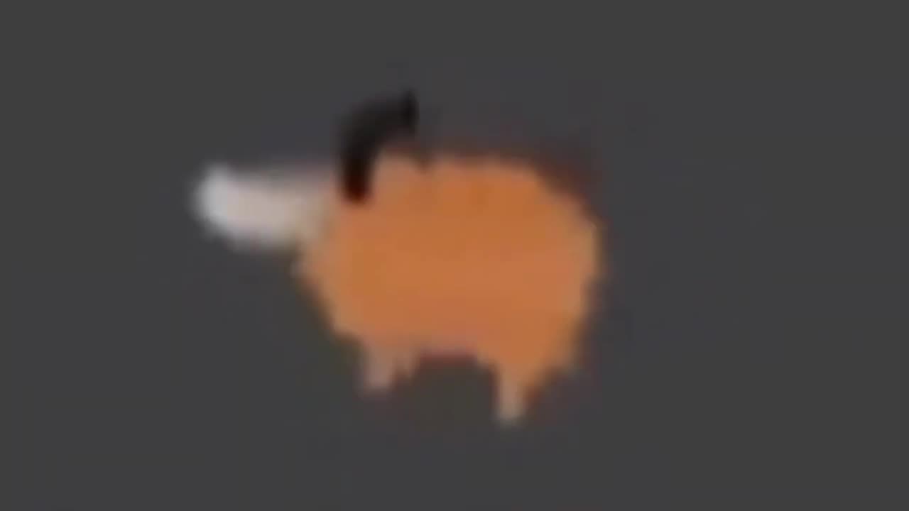 Pochita spin