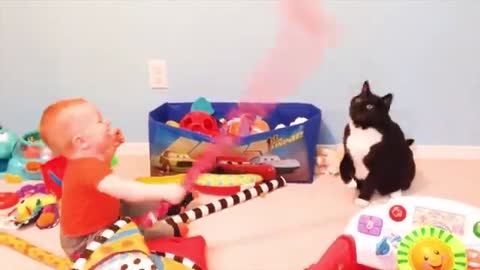 Funny baby playing with animals - funny pet videos - baby 2021 He Likes Teasing It