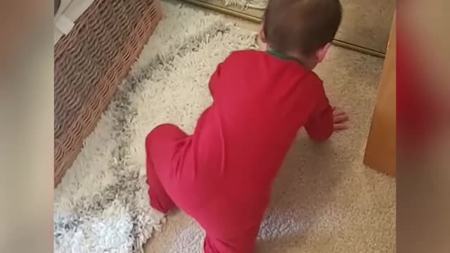 Escape Artist Babies