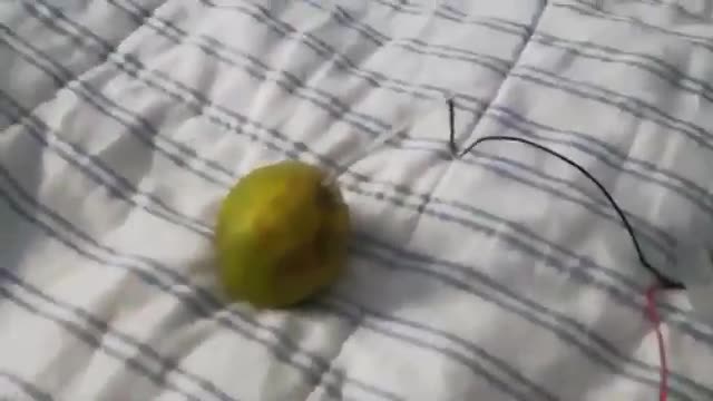 running a clock on a lemon