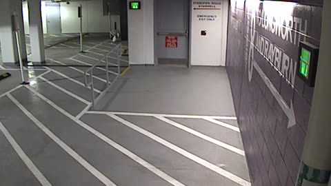 6136RHOBG3G3L8Lobby8Entrance_2021-01-05_15h40min01s070ms.mp4