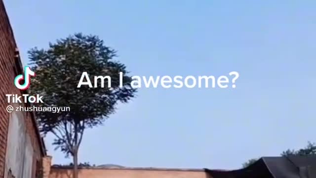 Am I Awesome?