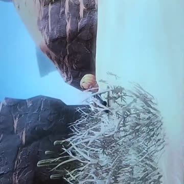 Videogame MAX 🎮🎮 🕹️ 🎮🎮