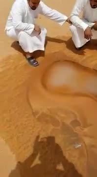 Water emerging in the desert