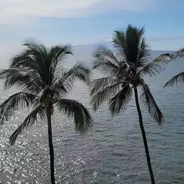 Beautiful Maui 2022 09 23