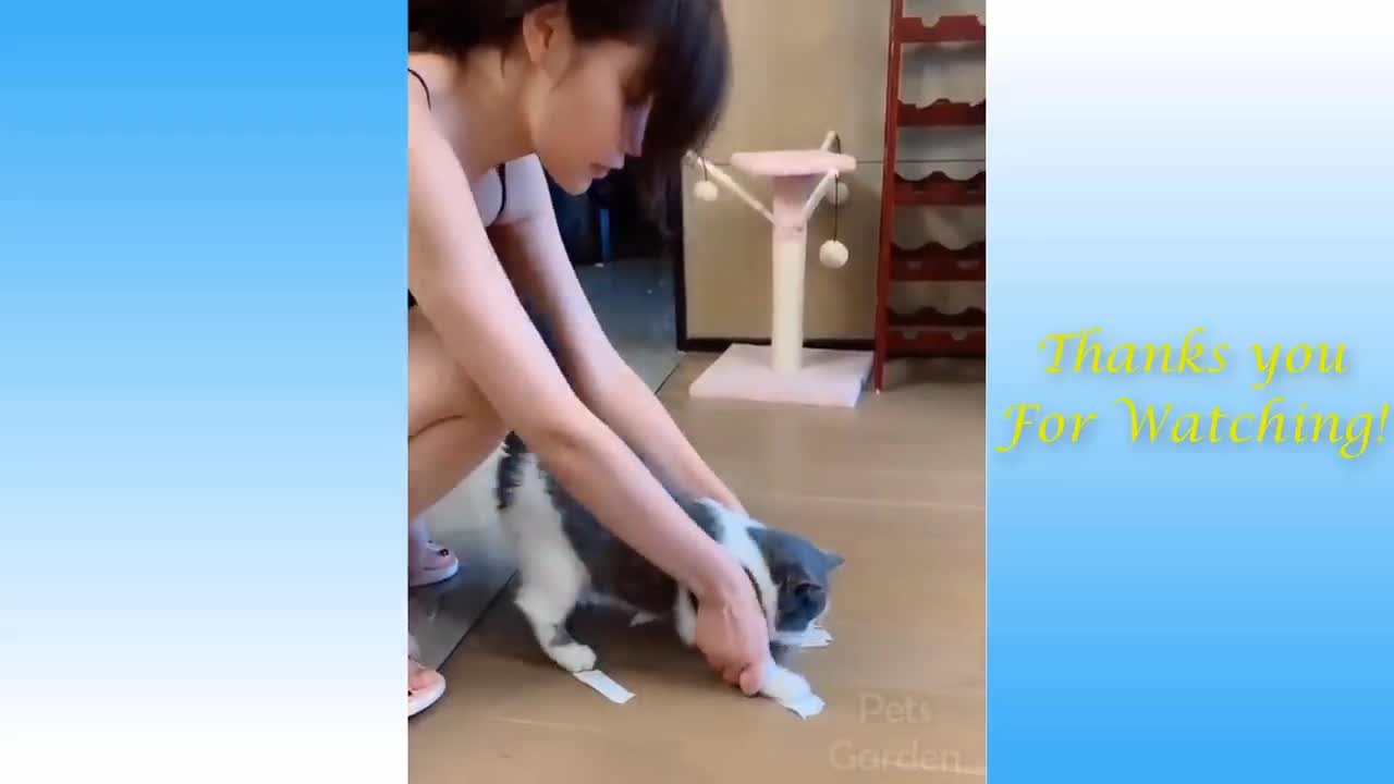 Funniest Animals - Best Of The Funny Animal Videos..😂🐱