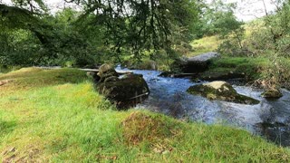 River on Dartmoor