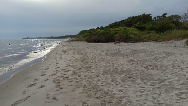 Vid stranden Hagestad 2 Aug. 2022