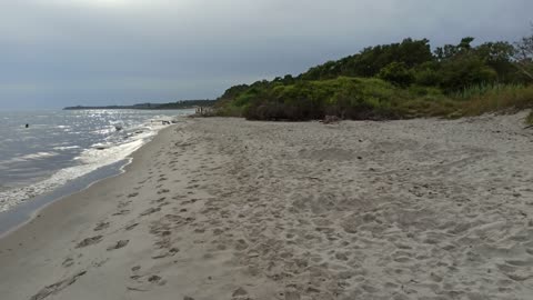 Vid stranden Hagestad 2 Aug. 2022