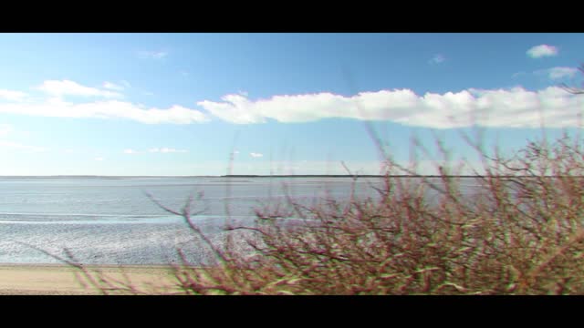 Nature in Denmark, cinematic video