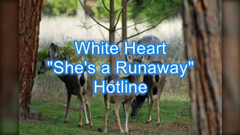 White Heart - She's a Runaway #342