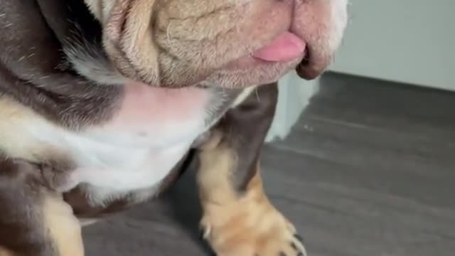 He’s a 10000!