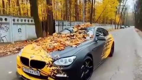 Bmw, leaf fall