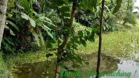 My Village House Tour 🏠 walkthrough