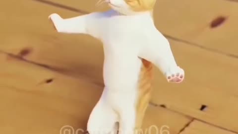 Viral cat dance