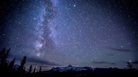 Relaxing Music | Sleeping, Meditation, Stress Relief | [4051] ⭐️