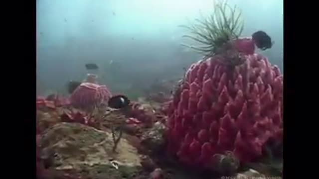 Time with God - July 7