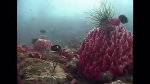 Time with God - July 7