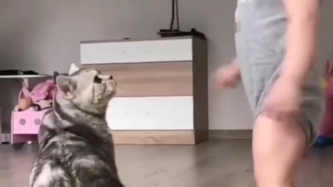 Cute baby talking with the cute cat