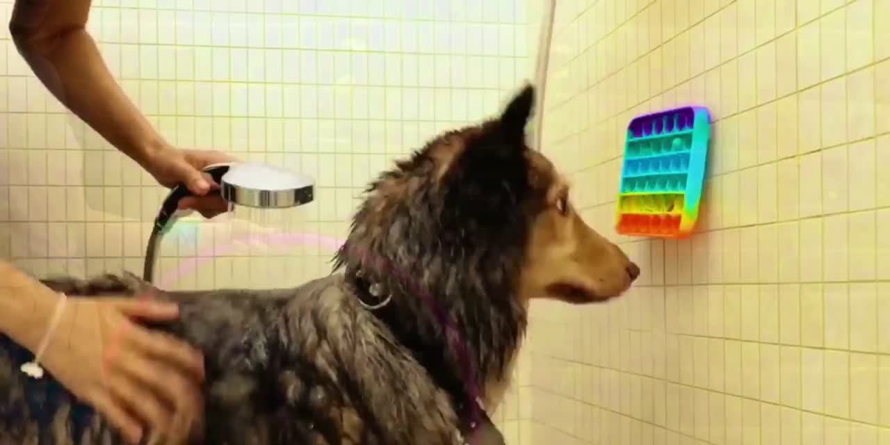 life hack : bathing the dog easily