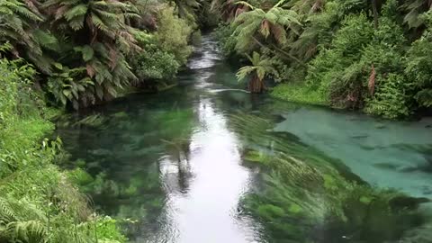 Relax with the amazing river stream footage and sound