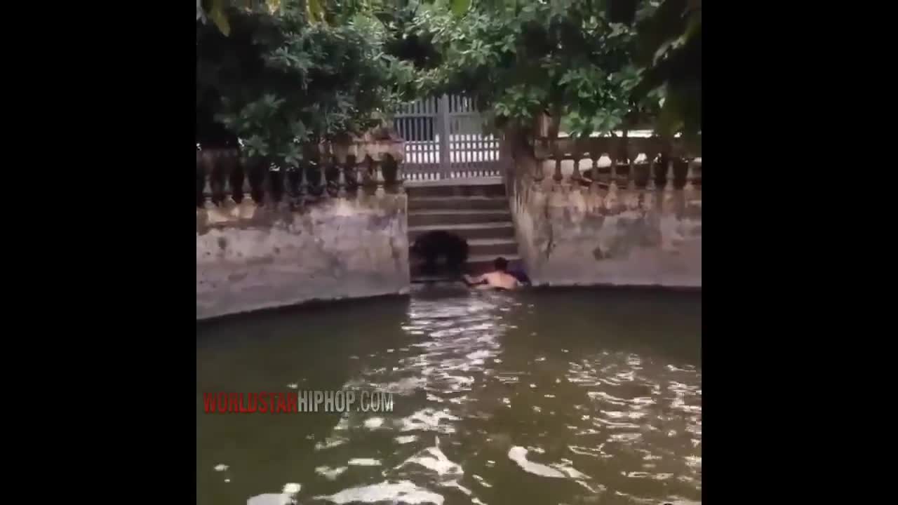 dog rescues his owner who pretends to drown