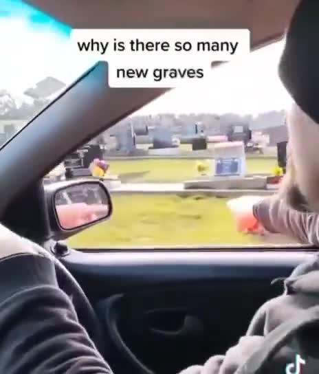 New Zealand: Locals in Oamaru, NZ (Est Pop:13,107) drive through cemetery