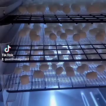 Dehydrated marshmallows