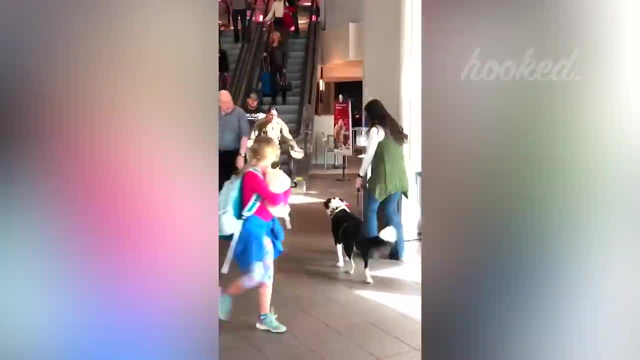 ANIMALS REUNITED WITH THEIR OWNERS AFTER YEARS!