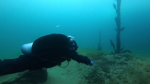 Gilboa Quarry dive February 13th 2022