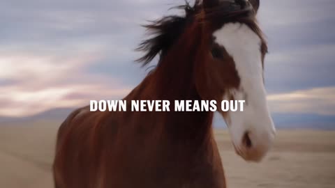 SuperBowlTV - Budweiser Super Bowl 2022 Commercial