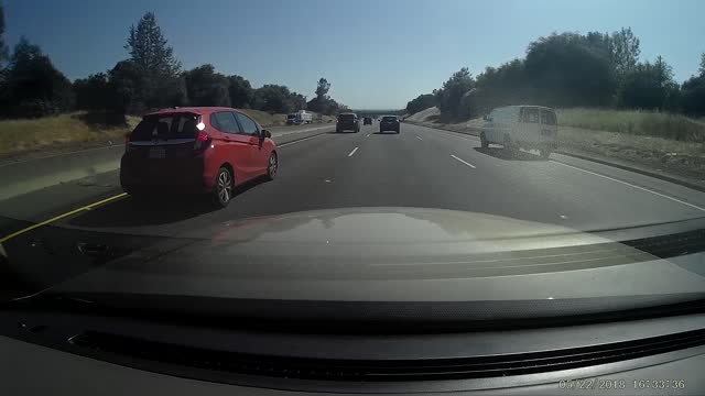 Family of Ducks Play Chicken on Freeway