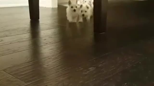 cute