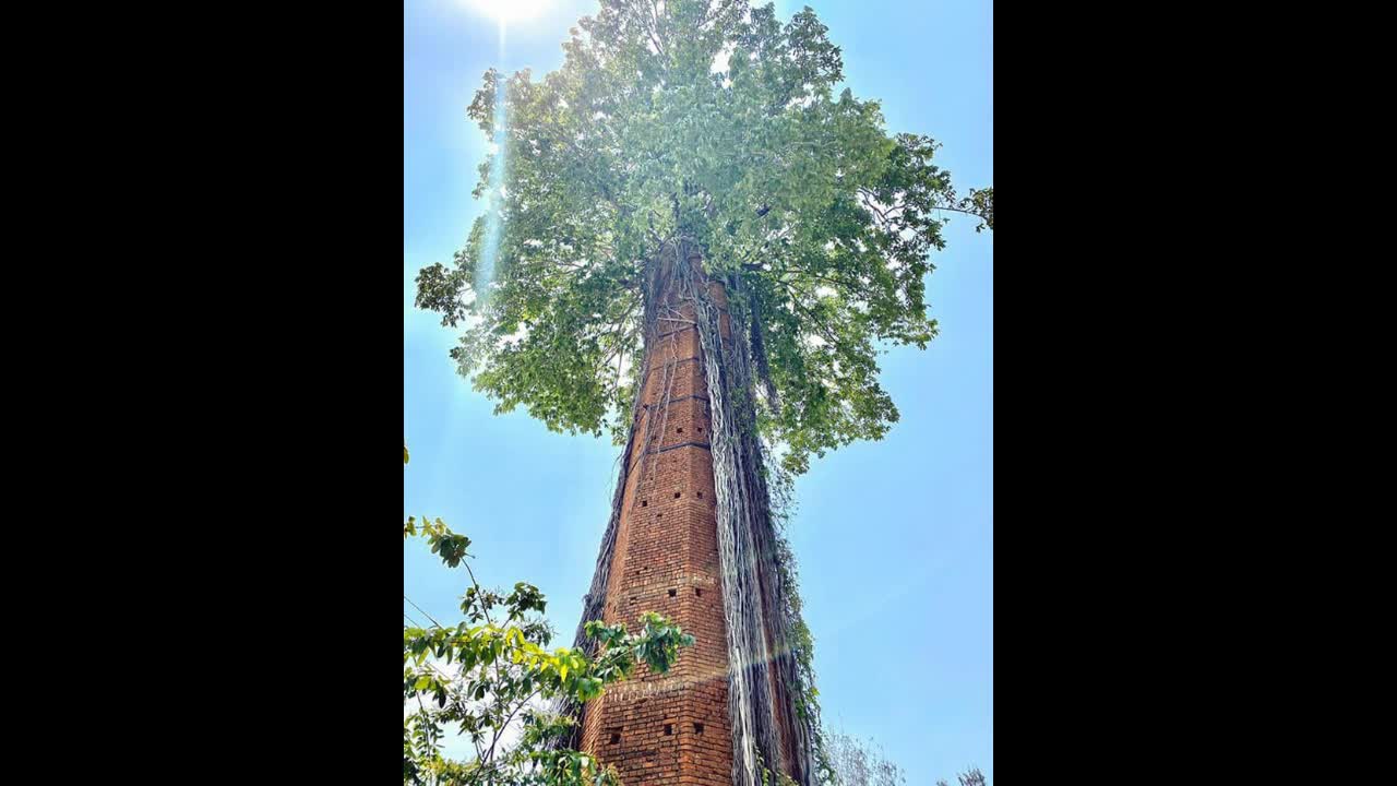 Old World Melted Buildings and Nature