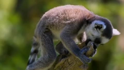 So cute