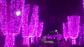 Light Heaven P1