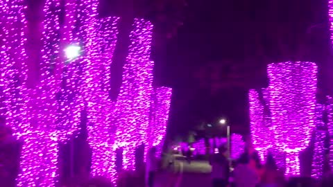 Light Heaven P1