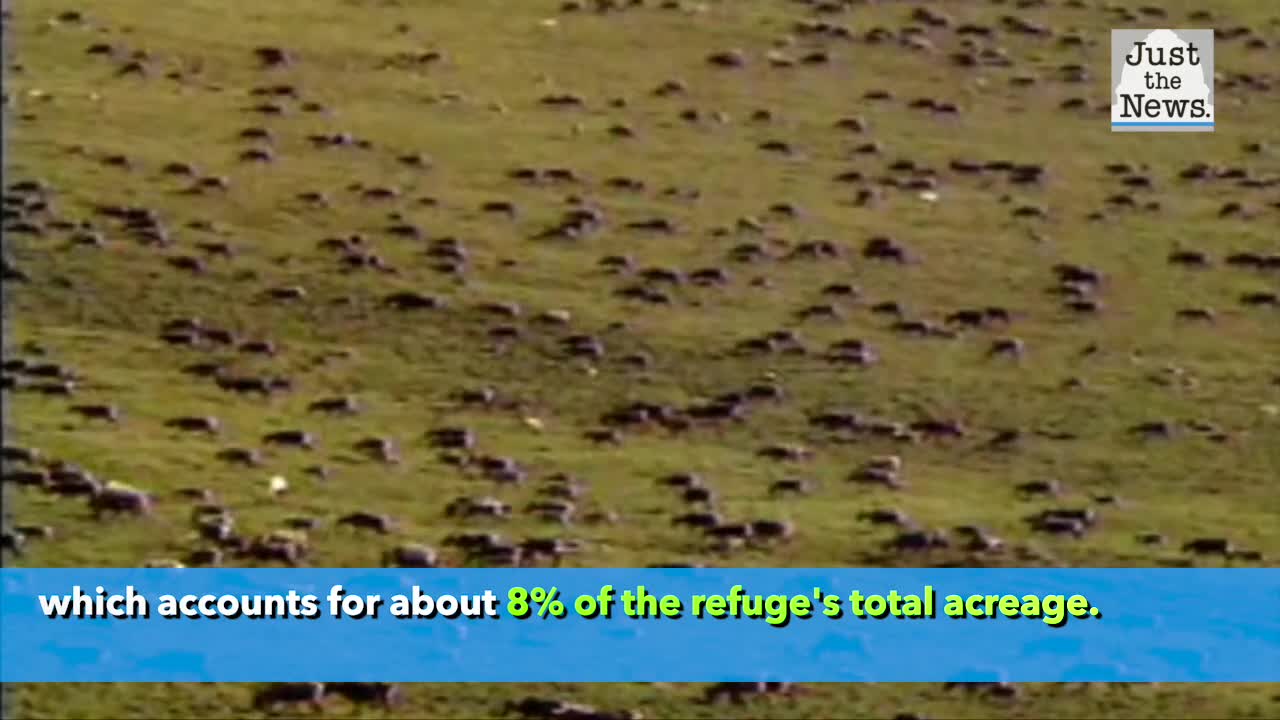 Trump administration announces plan to open up 1.5 million acres of Alaskan wildlife for drilling