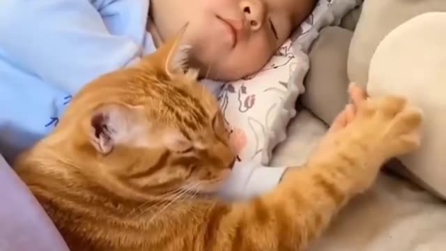 Baby Loves Cats