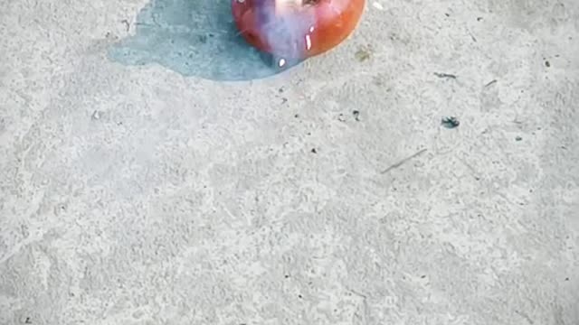 Apple Experiment
