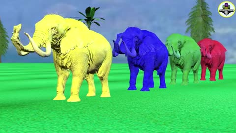 Fountain crossing with Elephant Camel Lion Tiger Dog Cat part 02,3D animals