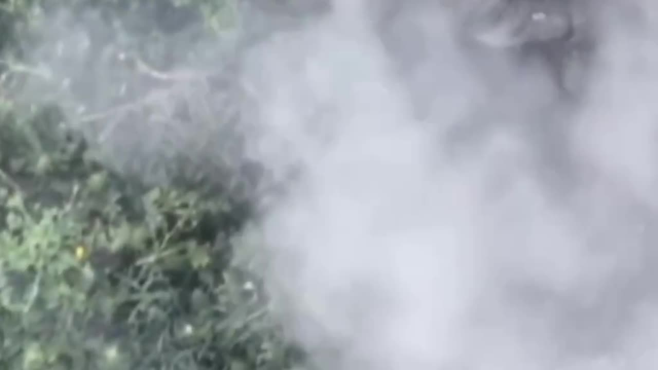 Russians Looking for Cover