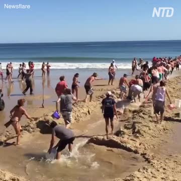 Anti-Loosh Video Number 50. LOOSH is real and bad. Explained below and watch the video!