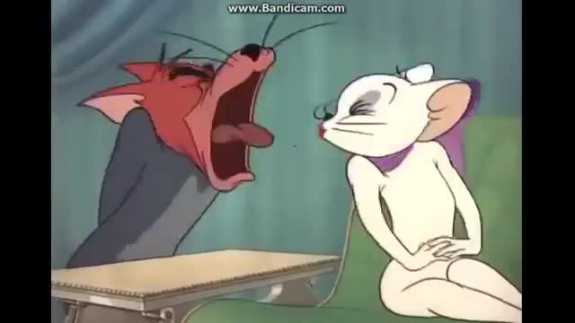 funny with tom and jerry