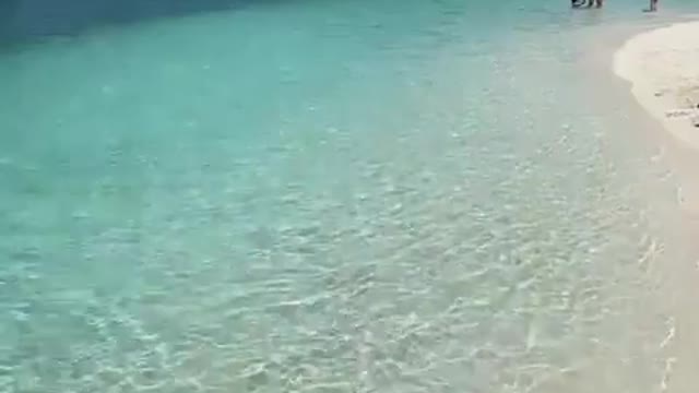 Sea Blue