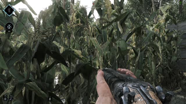 Hunt Showdown - Solando Trio - P2