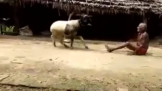 Man vs Ram