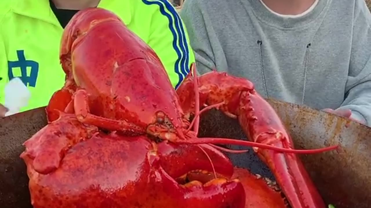 Family eating fresh lobsters