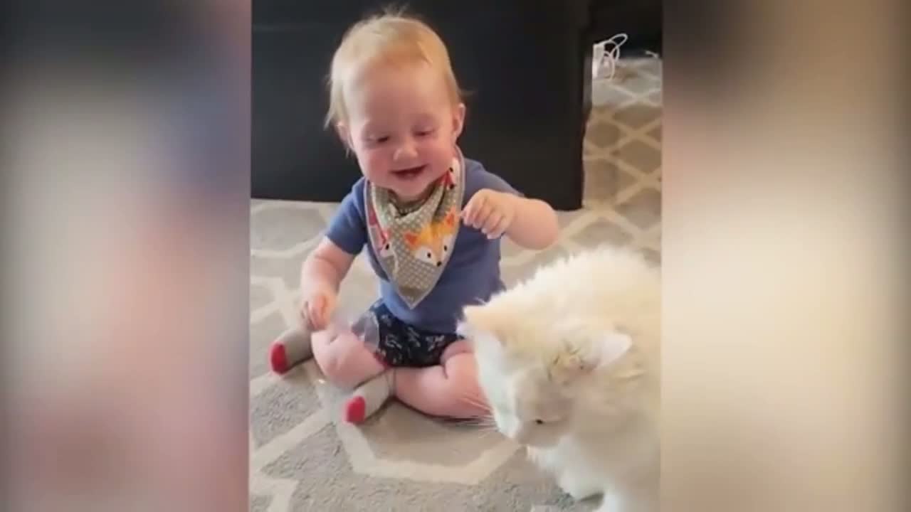 Cute baby playing with cats